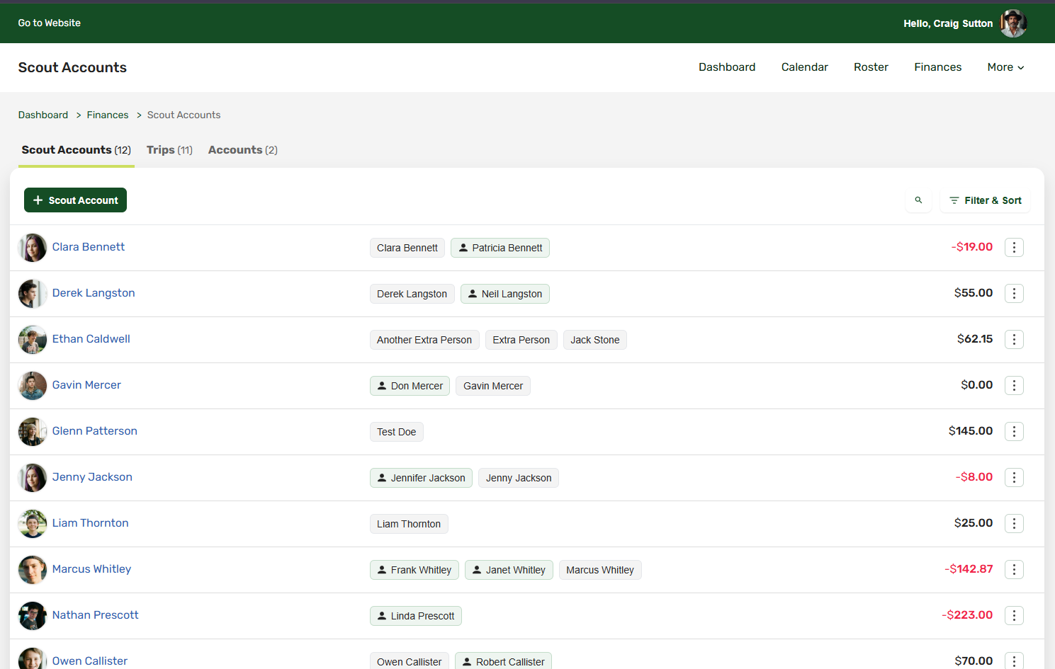 Scout account balances in the finances view