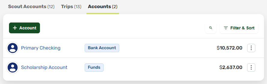 Unit account list showing money, fundraiser, and other accounts with category chips and balances
